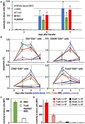 Novel Targeting to XCR1+ Dendritic Cells Using Allogeneic T Cells for Polytopical Antibody Responses in the Lymph Nodes